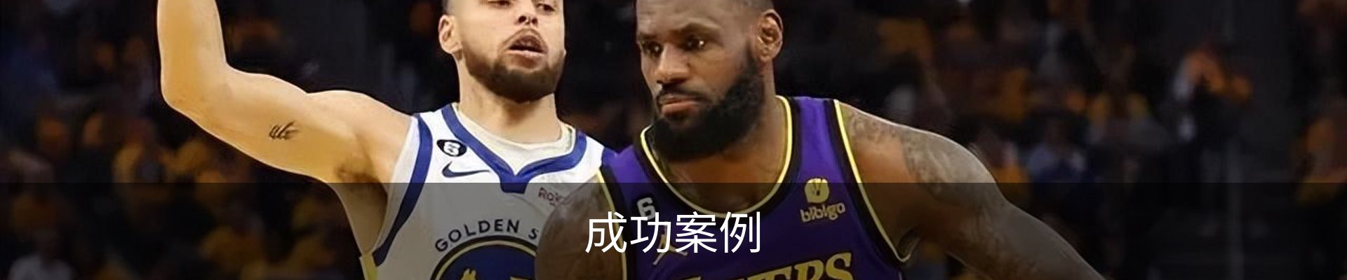 成功案例