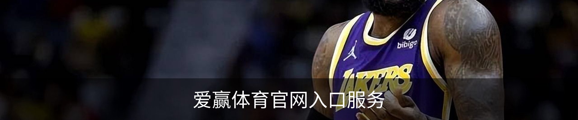 爱赢体育官网入口服务